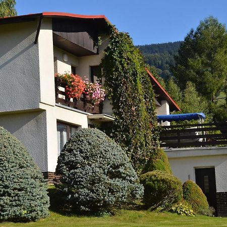 Apartmán Braun Rokytnice nad Jizerou Pokoj fotografie