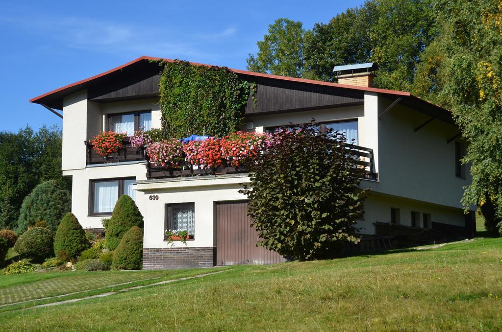 Apartmán Braun Rokytnice nad Jizerou Pokoj fotografie