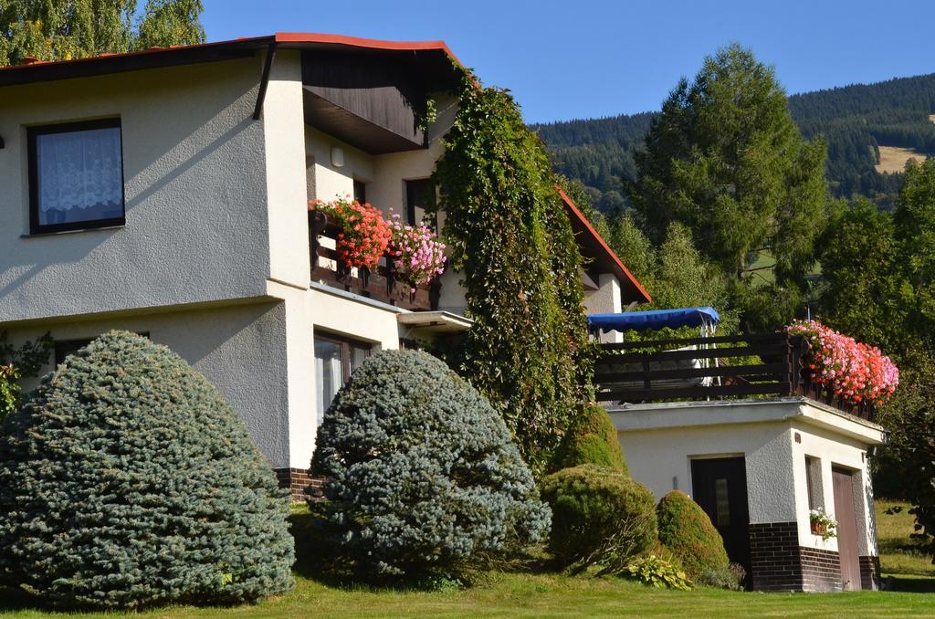 Apartmán Braun Rokytnice nad Jizerou Pokoj fotografie