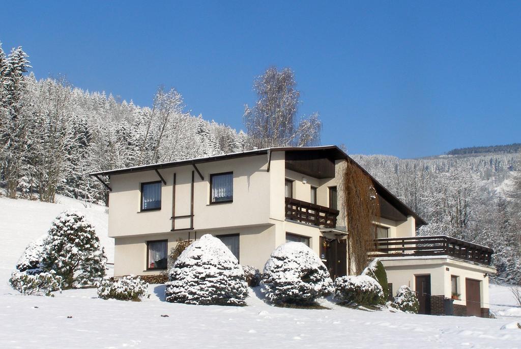 Apartmán Braun Rokytnice nad Jizerou Pokoj fotografie