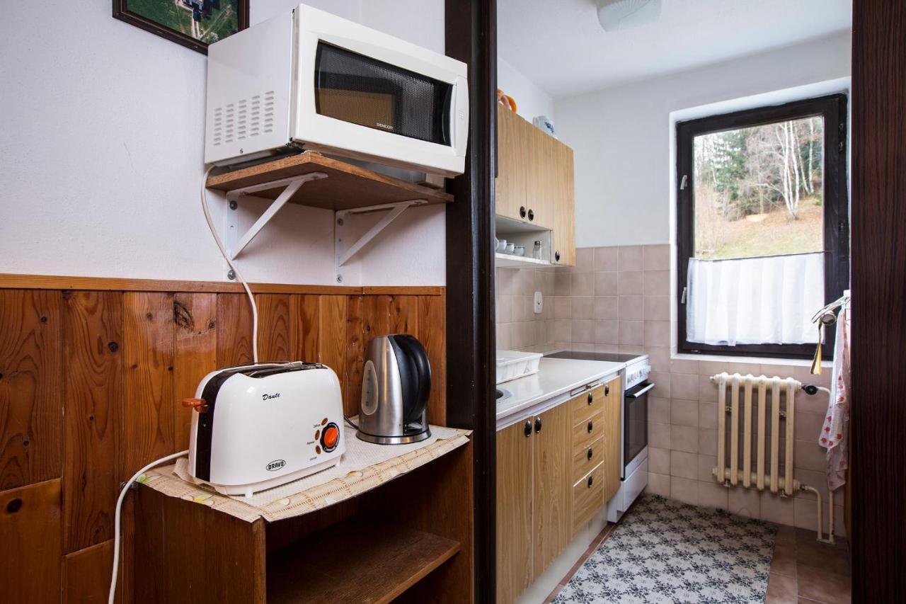 Apartmán Braun Rokytnice nad Jizerou Exteriér fotografie