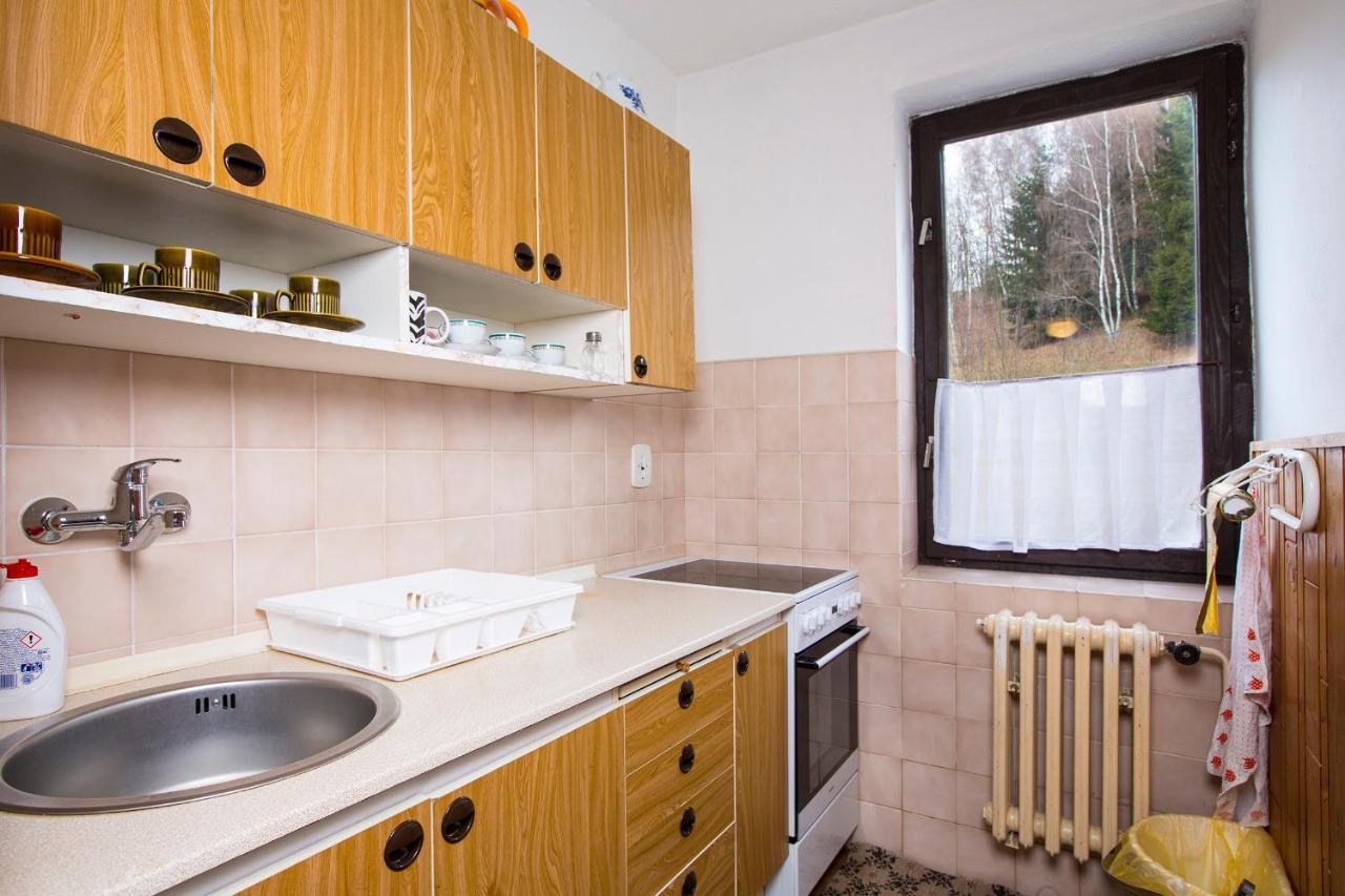 Apartmán Braun Rokytnice nad Jizerou Exteriér fotografie